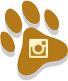 Footer Instagram Icon - Granbury & Nearby Areas